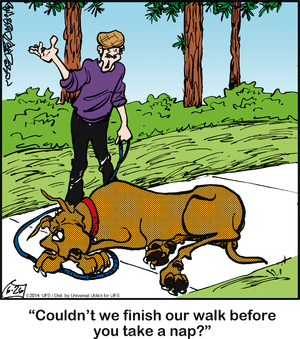 marmaduke